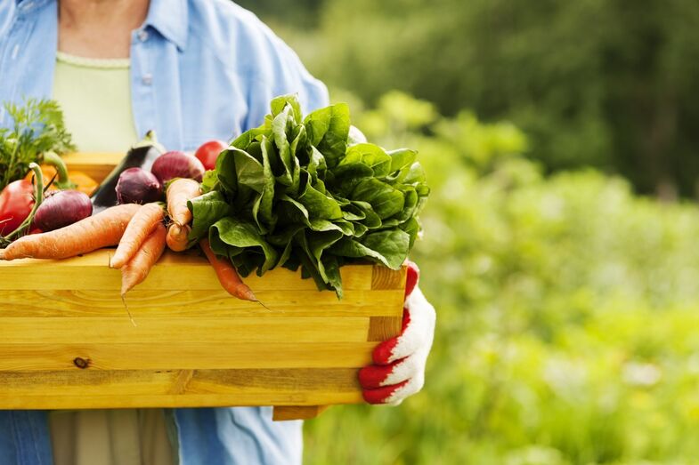 Veja os 12 alimentos que deve comprar biológicos e 15 que pode comprar de produção convencional