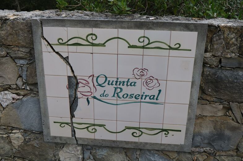 Primeiras imagens: Sofia Arruda faz casamento à porta fechada em quinta na Ericeira 