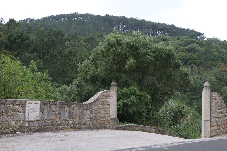 Primeiras imagens: Sofia Arruda faz casamento à porta fechada em quinta na Ericeira 