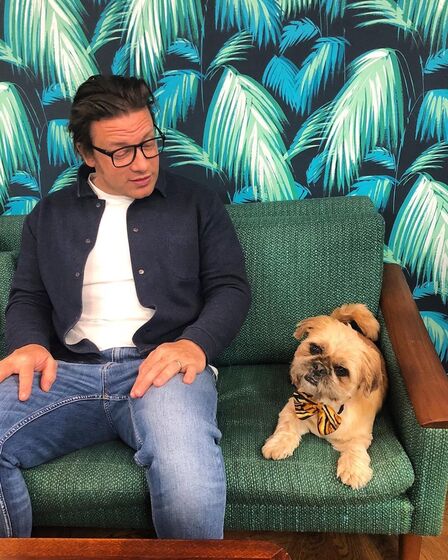 Jamie Oliver admite estar à beira da falência e tira 14 milhões de euros da poupança para salvar restaurantes