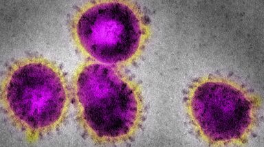 OMS reconhece pandemia de coronavírus