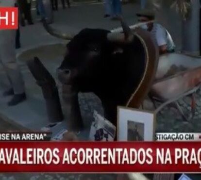 Toureiros acorrentam-se no Campo Pequeno em protesto contra proibição de touradas